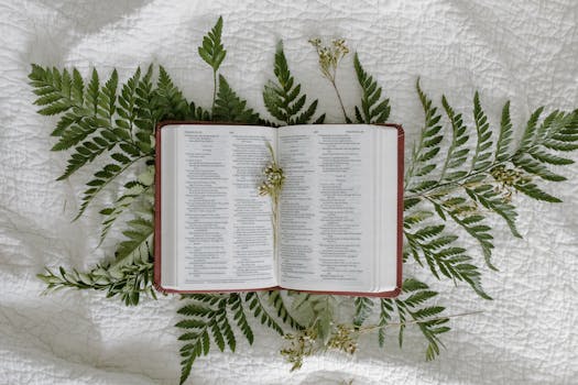 Beyond the Screen: Why Your Next Bible Study Should Be Printed
